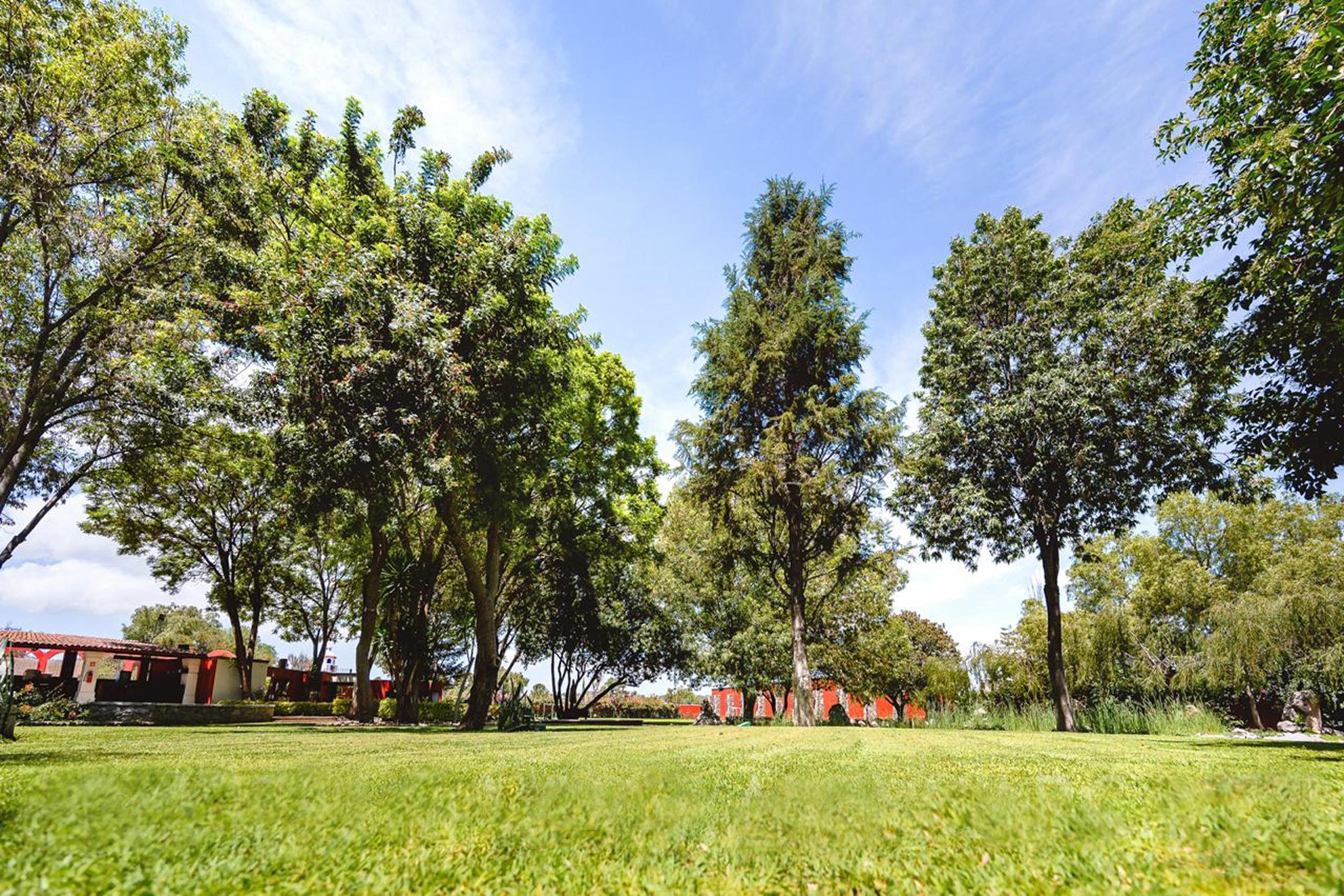 Real De Minas San Miguel De Allende Exteriör bild The park