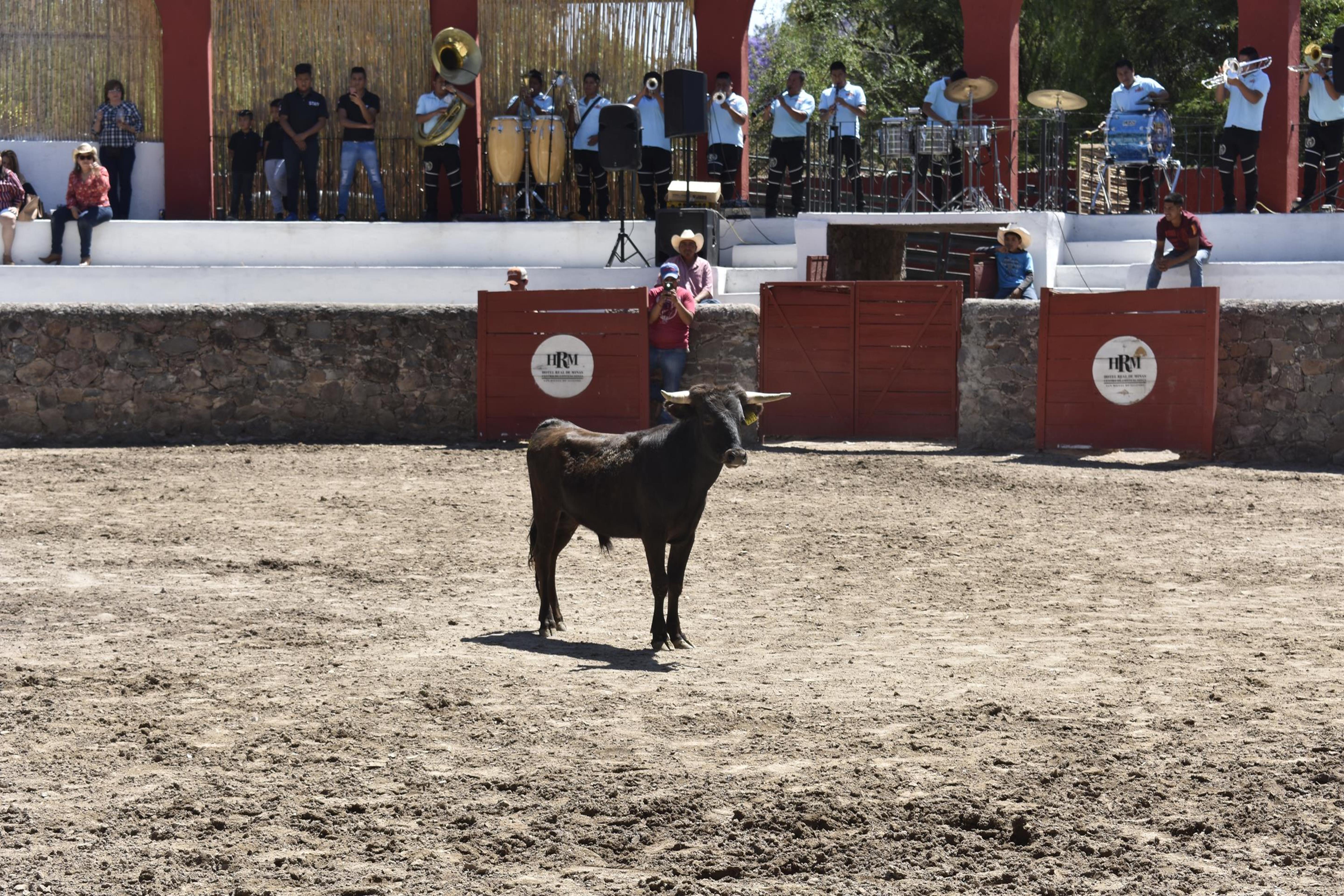 Real De Minas San Miguel De Allende Exteriör bild A bull in the bullring