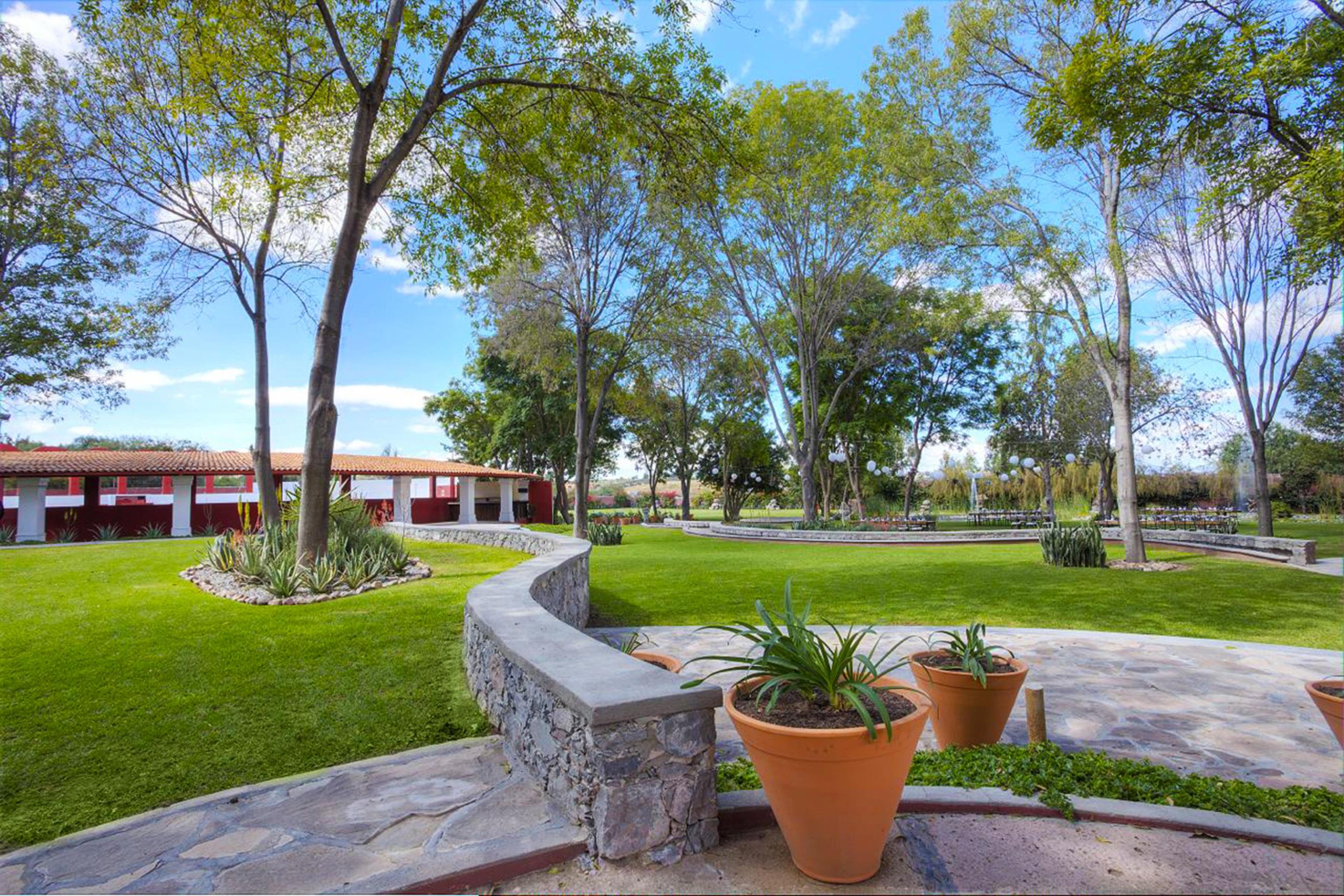 Real De Minas San Miguel De Allende Exteriör bild View of the main square in San Marcos