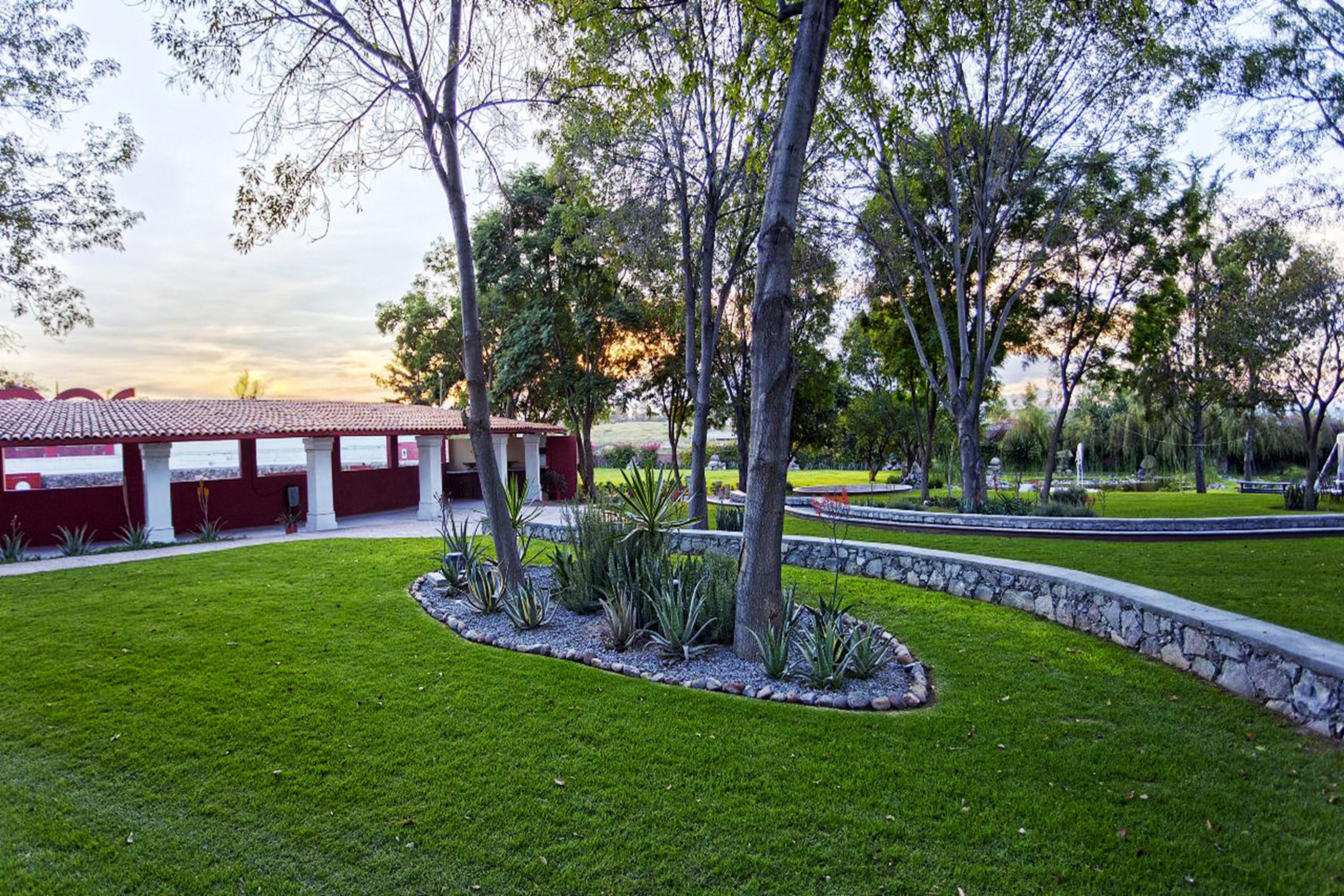 Real De Minas San Miguel De Allende Exteriör bild View of the park