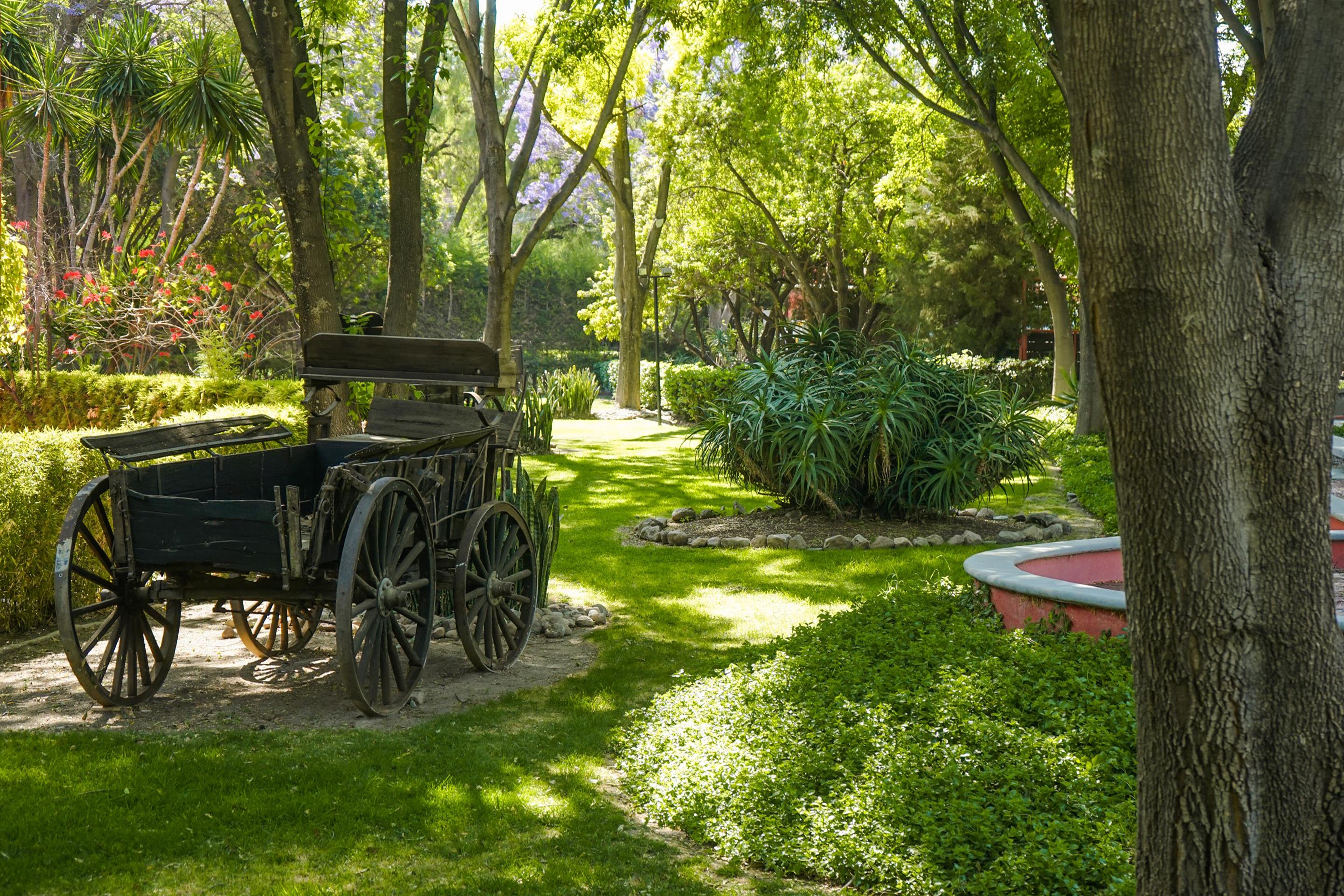 Real De Minas San Miguel De Allende Exteriör bild The gardens of the museum