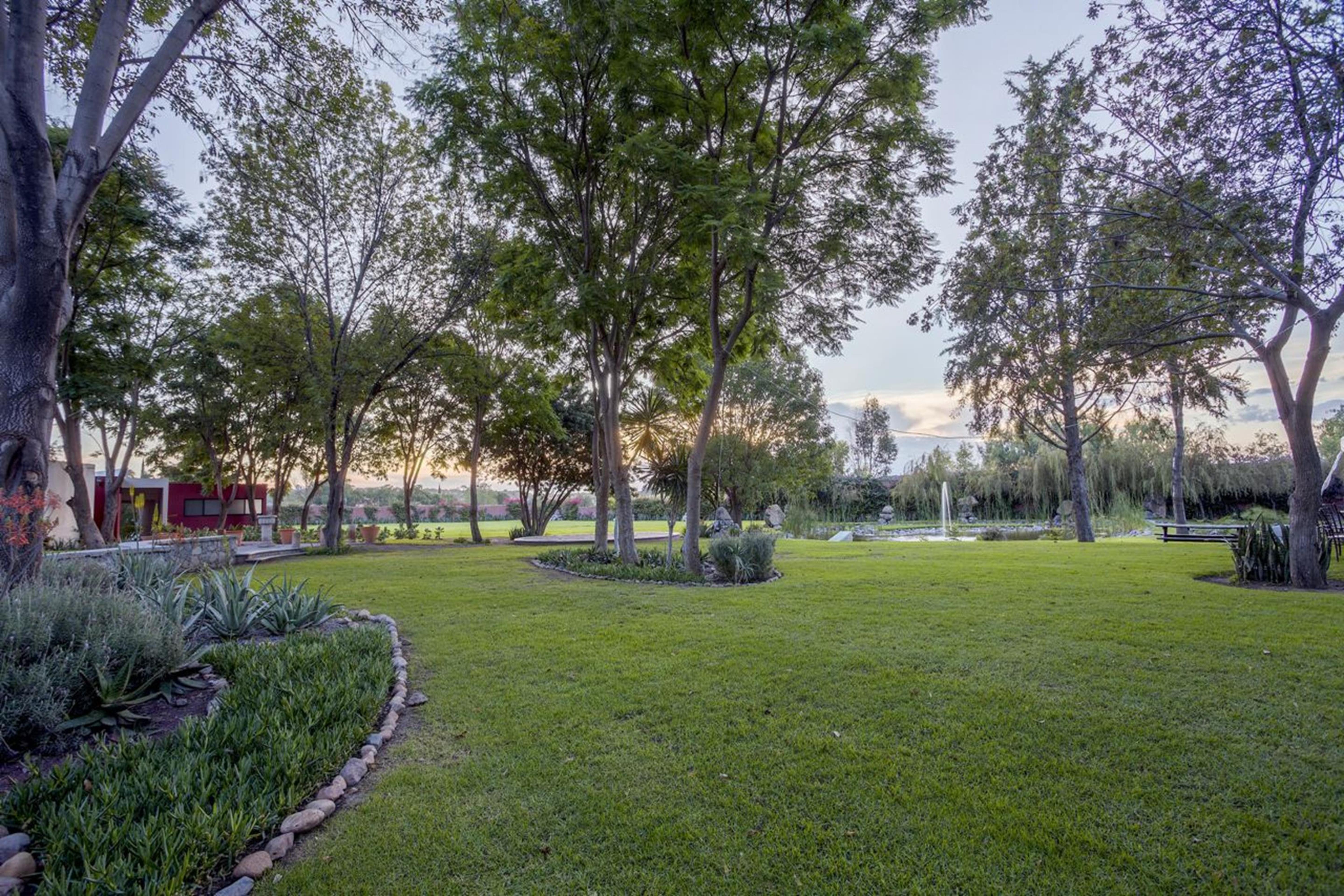 Real De Minas San Miguel De Allende Exteriör bild The park